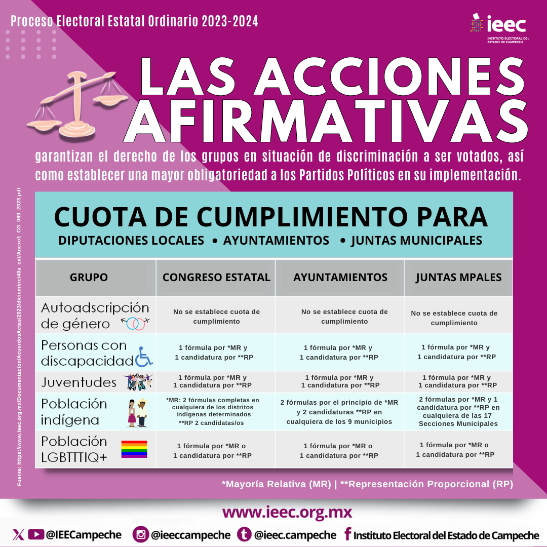 Conformación Proceso Electoral 2021